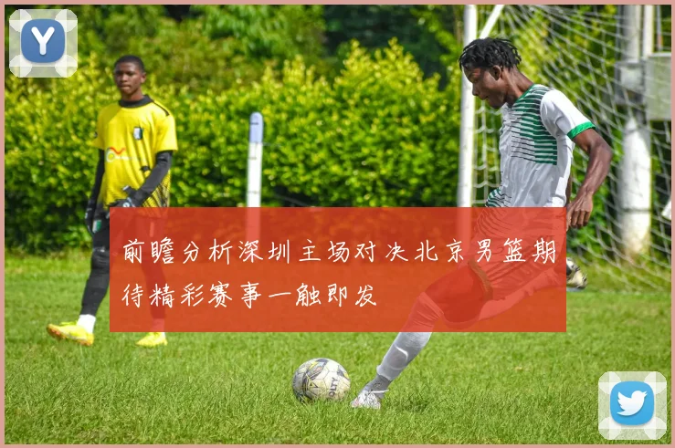 前瞻分析深圳主场对决北京男篮期待精彩赛事一触即发
